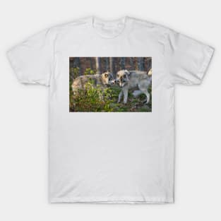 Gray Wolf T-Shirt